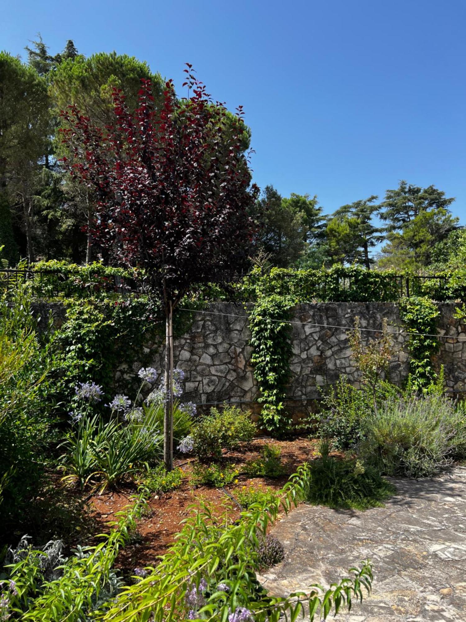 Villa Dimora Di Bari Selva Di Fasano Esterno foto