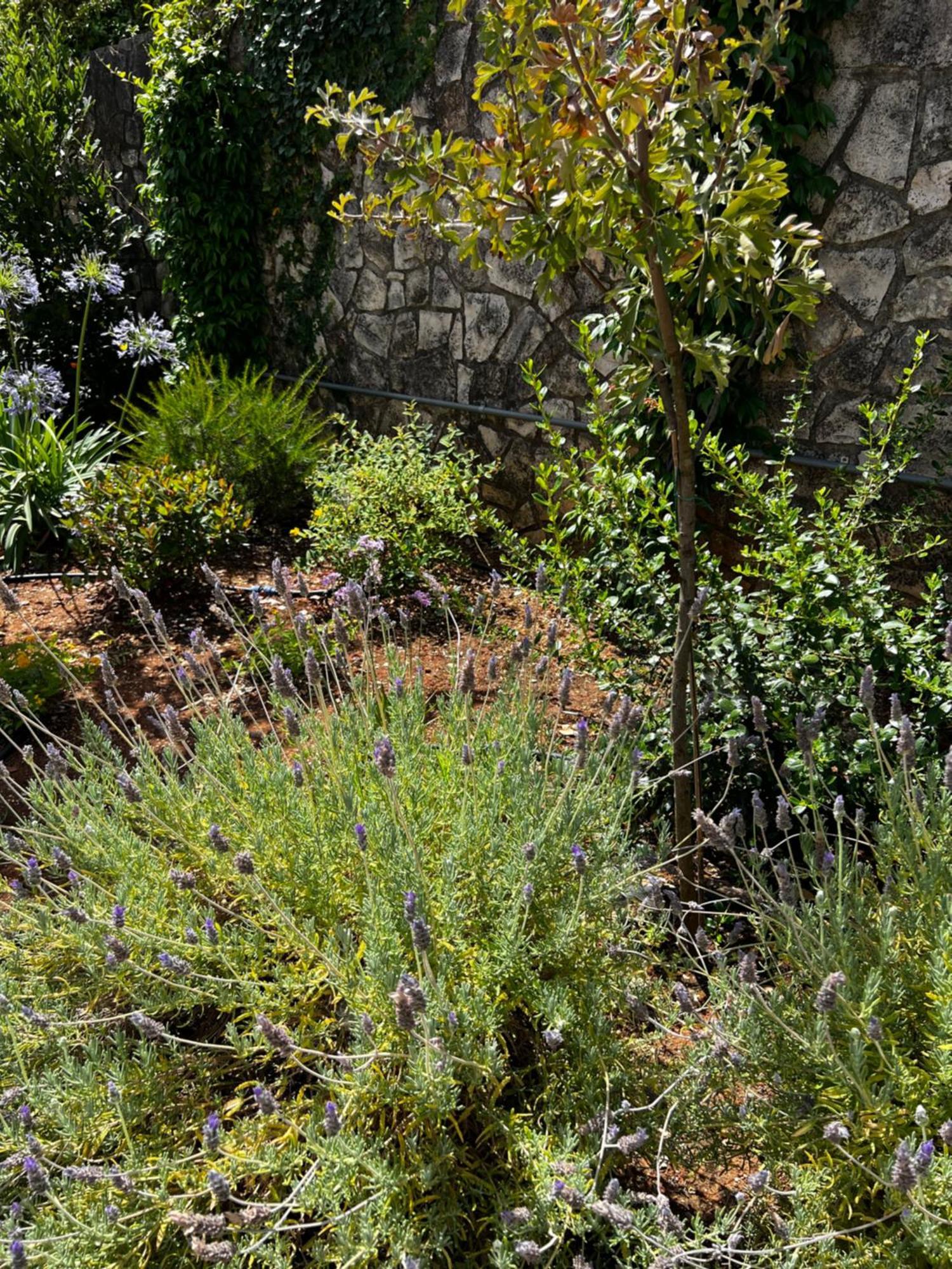 Villa Dimora Di Bari Selva Di Fasano Esterno foto